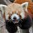 ORIGIN4LFluffy