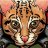 Ocelot_Zz