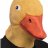 Dylan_TheDuck