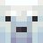 un_ours_blanc
