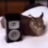 Gamer1426