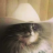 Meowdy