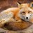 foxy2007b