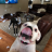 TackledMirror14