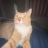 BurnedToast