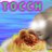 Spagoot