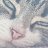 Babbit124