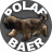 polar_baer