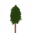 A sentient fir tree