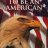theamerican1776