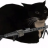 Maxwell security >:(