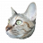 meow9
