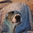 bokdoggy