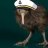 captain kiwi
