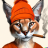 Mister_Flopper