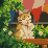 lukie_