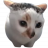 Bingusthedingus34