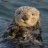 Otter Ware