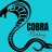 Cobra Modding